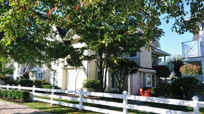 DSC_7569 at #505 - 22233 River Road, Maple Ridge