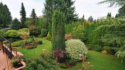 DSC_8333.jpeg at 20685 125th Avenue, Maple Ridge