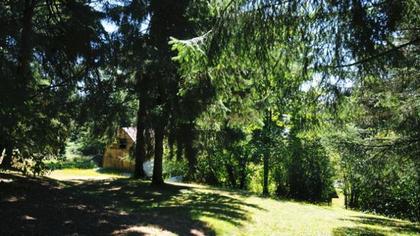 DSC_6959 at 26095 Lougheed Highway, Maple Ridge