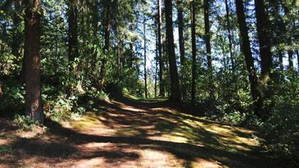 DSC_6961 at 26095 Lougheed Highway, Maple Ridge