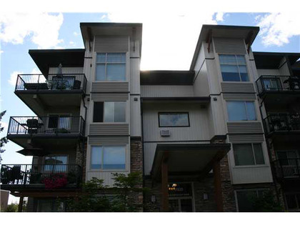 261664199 at 316 - 11935 Burnett Street, Maple Ridge