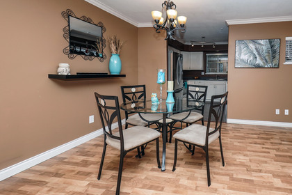 sol00755sol-low-light at #303 - 20556 113 Avenue, Maple Ridge