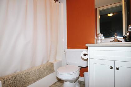 DSC_7269 at 10259  Street, Albion, Maple Ridge