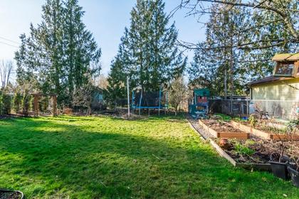 15459_31 at 12203  Street, East Central, Maple Ridge