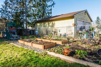 15459_33 at 12203  Street, East Central, Maple Ridge