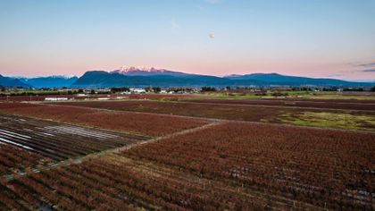 12525-190a-street-mid-meadows-pitt-meadows-39-1 at #112 - 12525 190a Street, Pitt Meadows