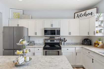 10241-244-street-albion-maple-ridge-12 at 10241 244 Street, Albion, Maple Ridge