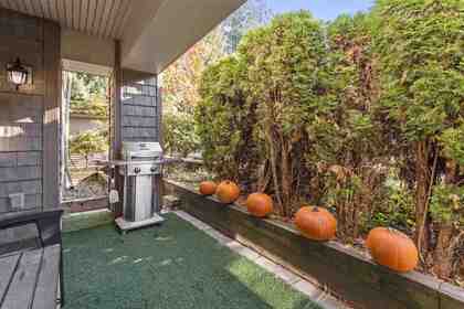 12248-224-street-east-central-maple-ridge-13 at 120 - 12248 224 Street, East Central, Maple Ridge 12248-224-street-east-central-maple-ridge-13 at 120 - 12248 224 Street, East Central, Maple Ridge