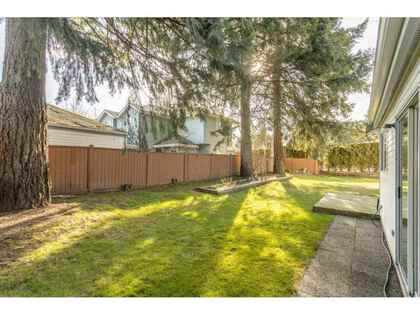 21707-dewdney-trunk-road-west-central-maple-ridge-31 at 4 - 21707 Dewdney Trunk Road, West Central, Maple Ridge