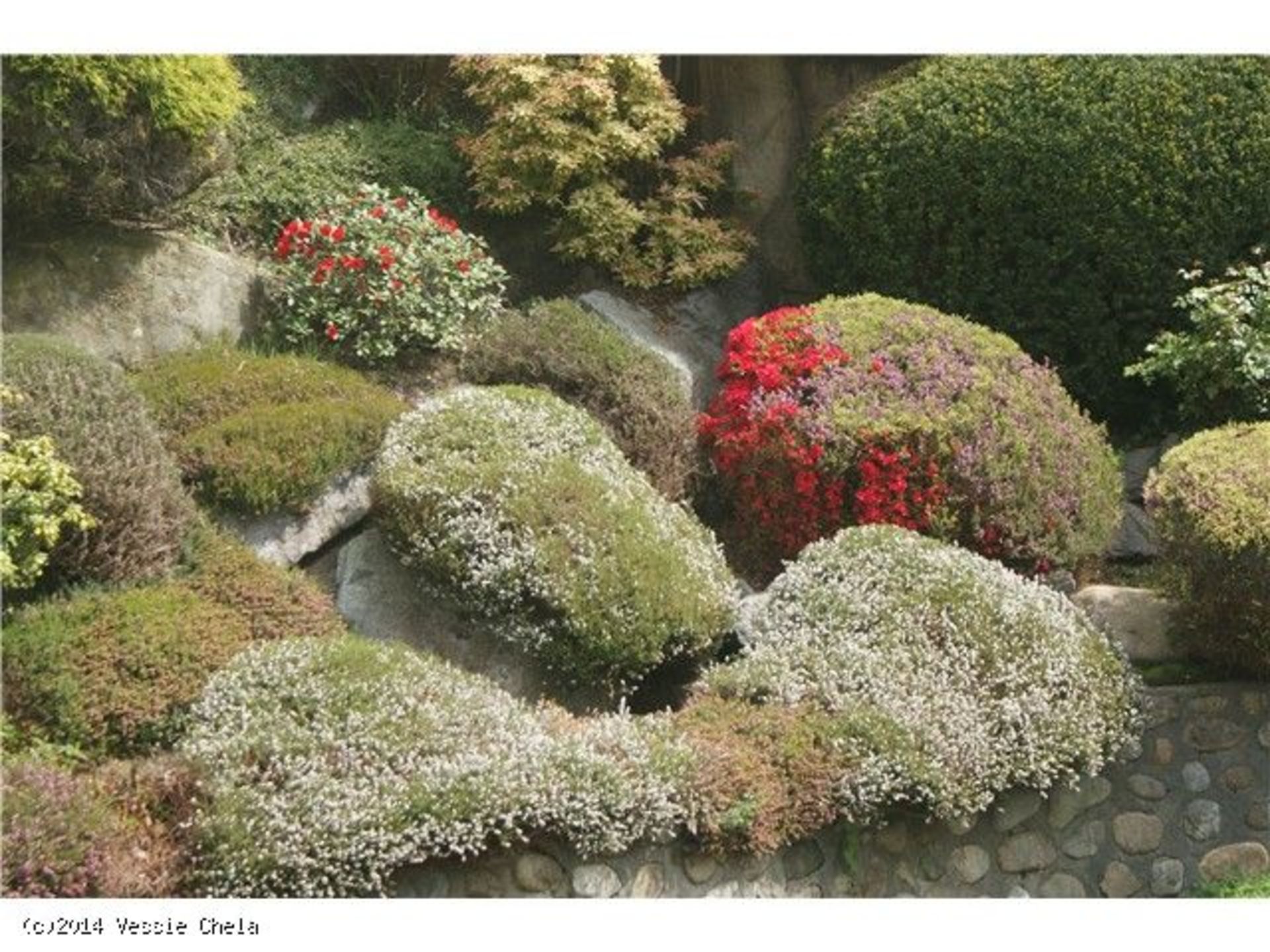 790  Street, West Vancouver  by Vessie Chela, Real Estate Consultant 790  Street, West Vancouver