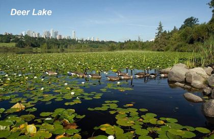 5875-imperial-street-upper-deer-lake-burnaby-south-05 at 207 - 5875 Imperial Street, Upper Deer Lake, Burnaby South 5875-imperial-street-upper-deer-lake-burnaby-south-05 at 207 - 5875 Imperial Street, Upper Deer Lake, Burnaby South