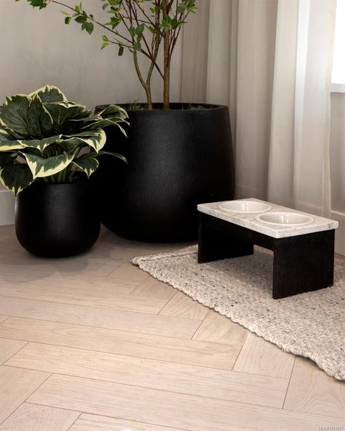 Feature at 429 Lampson Street, Esquimalt