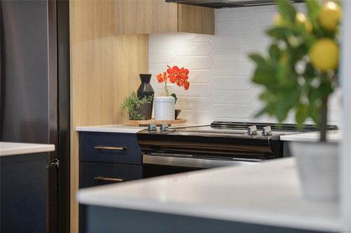 920-reunion-jacklin-langford-05 at 236 - 920 Reunion Avenue, Jacklin, Langford