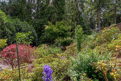 1425-todd-kangaroo-metchosin-53 at 1425 Todd Lane, Kangaroo, Metchosin