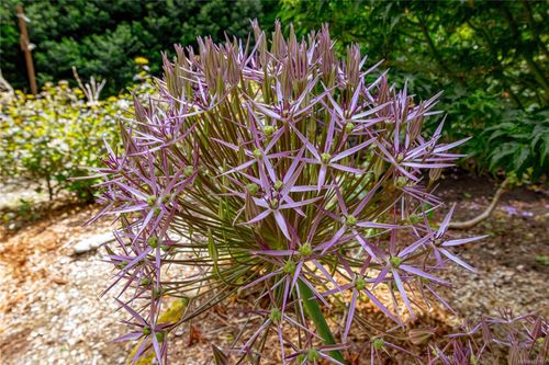 1425-todd-kangaroo-metchosin-56 at 1425 Todd Lane, Kangaroo, Metchosin