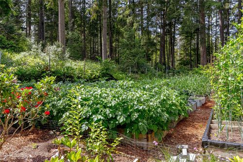 1425-todd-kangaroo-metchosin-58 at 1425 Todd Lane, Kangaroo, Metchosin