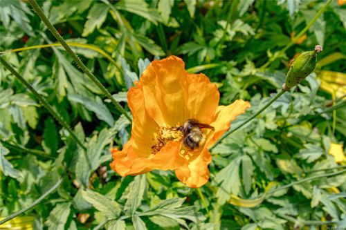 1425-todd-kangaroo-metchosin-71 at 1425 Todd Lane, Kangaroo, Metchosin