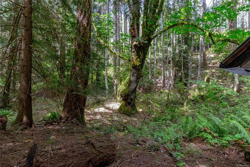 1425-todd-kangaroo-metchosin-77 at 1425 Todd Lane, Kangaroo, Metchosin