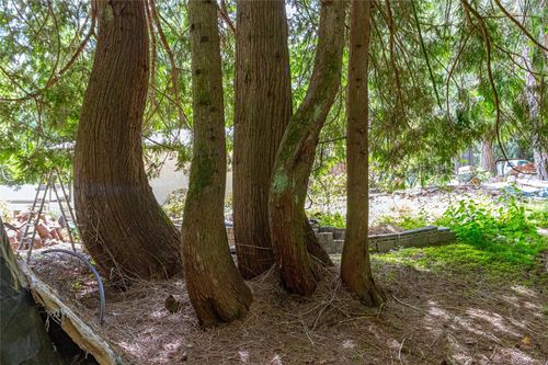 1425-todd-kangaroo-metchosin-78 at 1425 Todd Lane, Kangaroo, Metchosin