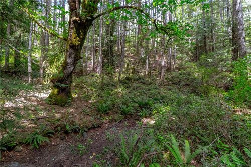 1425-todd-kangaroo-metchosin-79 at 1425 Todd Lane, Kangaroo, Metchosin