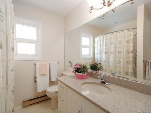 4362 Shelbourne Street Gordon Head at 4362 Shelbourne Street, Gordon Head, Saanich East