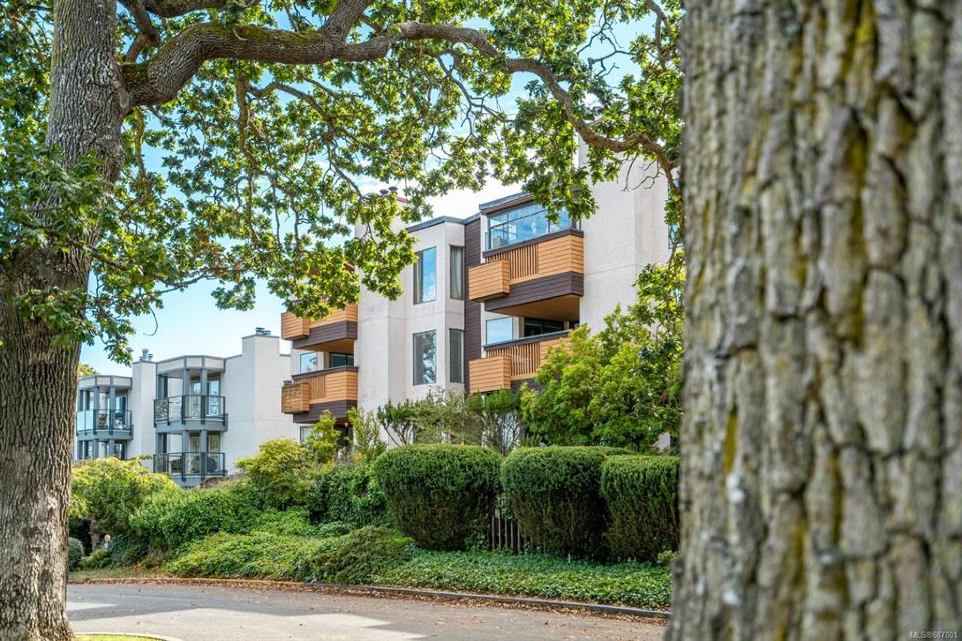 309 - 1518 Pandora Avenue, Fernwood, Victoria photo 9