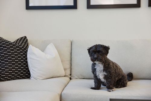 255-w-1st-street-lower-lonsdale-north-vancouver-04 at 116 - 255 W 1st Street, Lower Lonsdale, North Vancouver