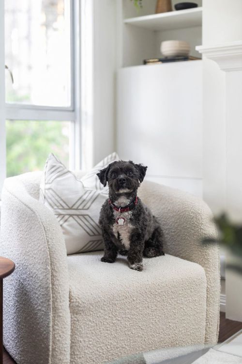 555-w-14th-avenue-fairview-vw-vancouver-west-06 at 203 - 555 W 14th Avenue, Fairview VW, Vancouver West