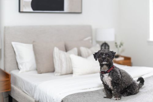 555-w-14th-avenue-fairview-vw-vancouver-west-19 at 203 - 555 W 14th Avenue, Fairview VW, Vancouver West