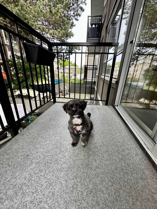 555-w-14th-avenue-fairview-vw-vancouver-west-24 at 203 - 555 W 14th Avenue, Fairview VW, Vancouver West