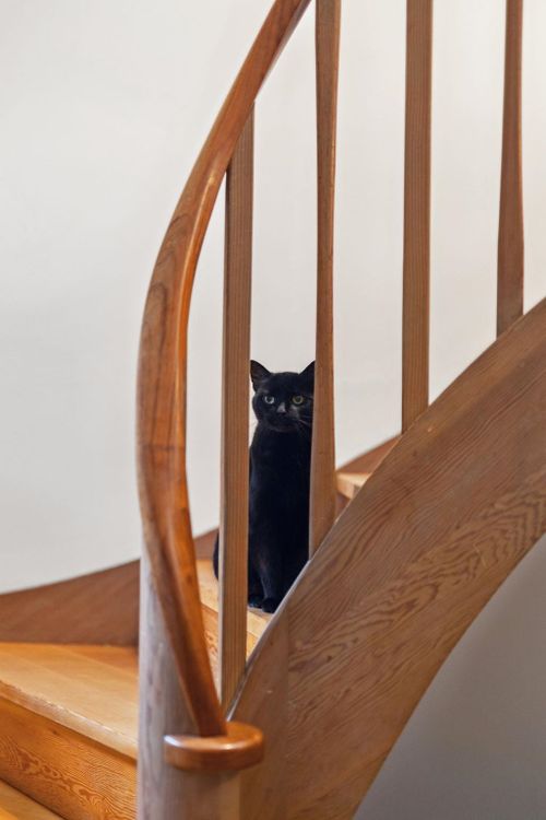 2230-chapman-way-seymour-nv-north-vancouver-20 at 2230 Chapman Way, Seymour NV, North Vancouver