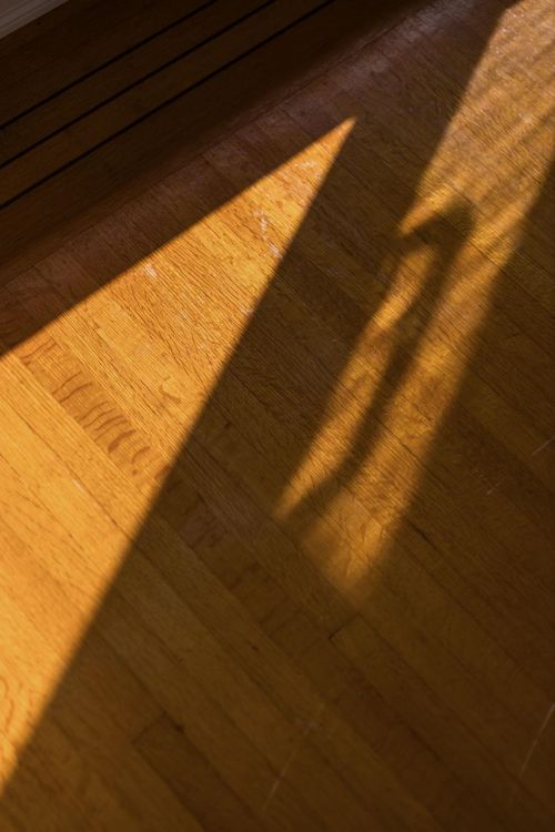 2869-venables-street-renfrew-ve-vancouver-east-11 at 2869 Venables Street, Renfrew VE, Vancouver East