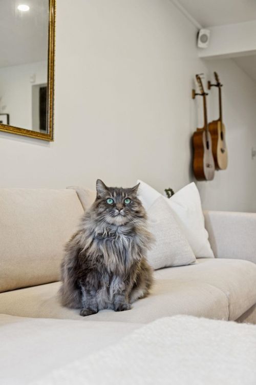 1825-purcell-way-lynnmour-north-vancouver-09 at 56 - 1825 Purcell Way, Lynnmour, North Vancouver