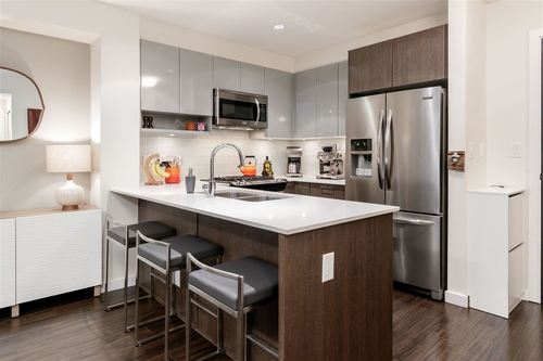 262375520 at 312 - 202 E 24th Avenue, Main, Vancouver East