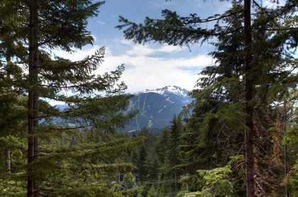 View at 8324 Chalet Drive, Alpine Meadows, Whistler