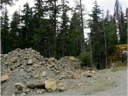 image-203463-4.jpg at 9313 Autumn Place, Emerald Estates, Whistler