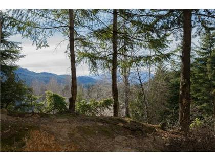 Views at 111 - 2109 Whistler Road, Whistler Creek, Whistler