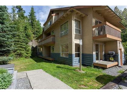 Backyard at B5 - 2230 Eva Lake Road, Nordic, Whistler