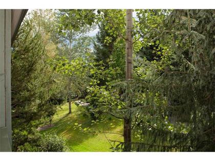 Backyard at 34 - 4355 Northlands Boulevard, Whistler Village, Whistler