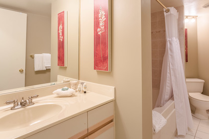 10 at 321 - 4809 Spearhead Drive, Benchlands, Whistler