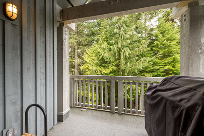 15 at 25 - 4661 Blackcomb Way, Benchlands, Whistler