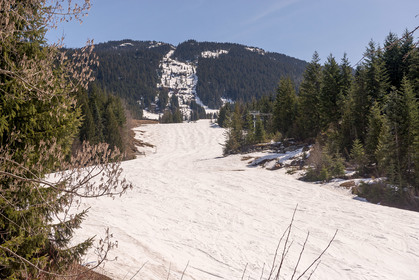 439legends18 at 439C - 2306 London Lane, Whistler Creek, Whistler