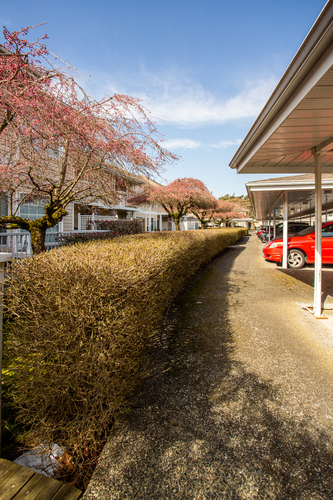 232-5641-201st-langley-360hometours-29 at 