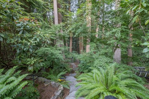 1309-forest-walk-360hometours-50s at 