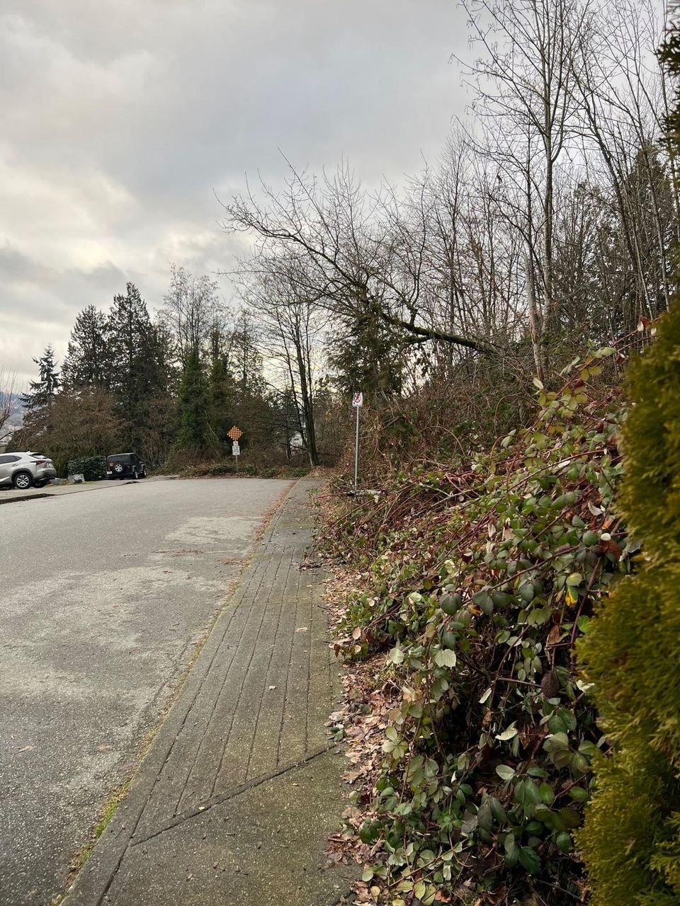 166-warrick-street-cape-horn-coquitlam-10 at 166 Warrick Street, Cape Horn, Coquitlam